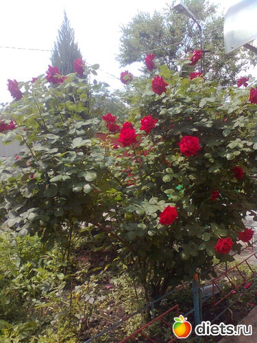 1 ����: ��� ����