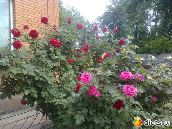 2 ����: ��� ����