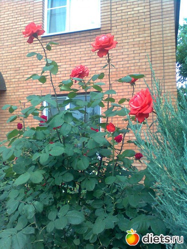 3 ����: ��� ����