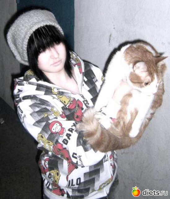 11 ����: �����