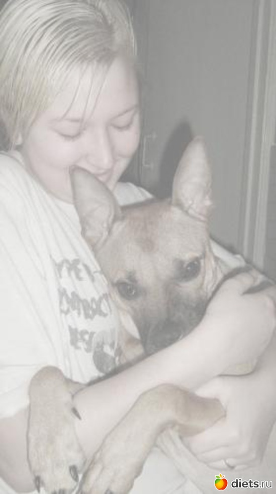 12 ����: �����