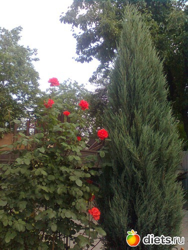 6 ����: ��� ����