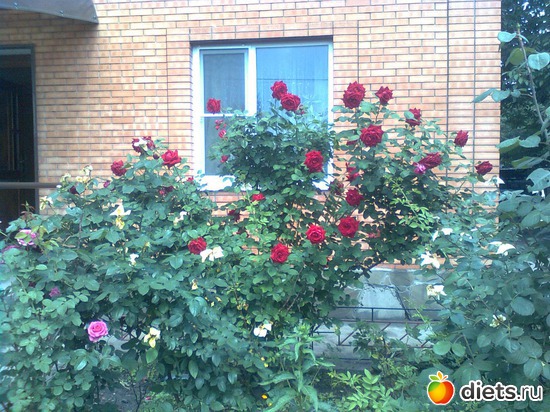 7 ����: ��� ����