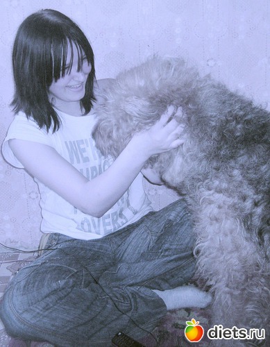 22 ����: �����