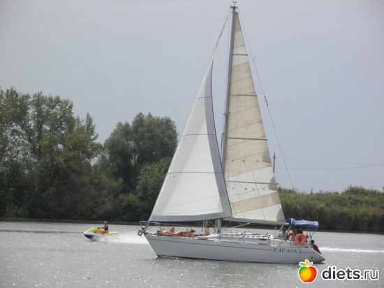 1 ����: ��������