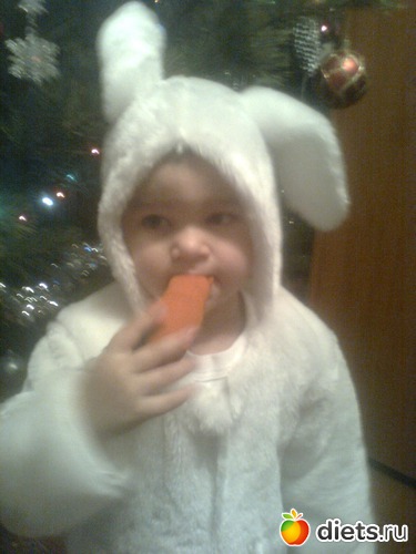 17 ����: ��� �����