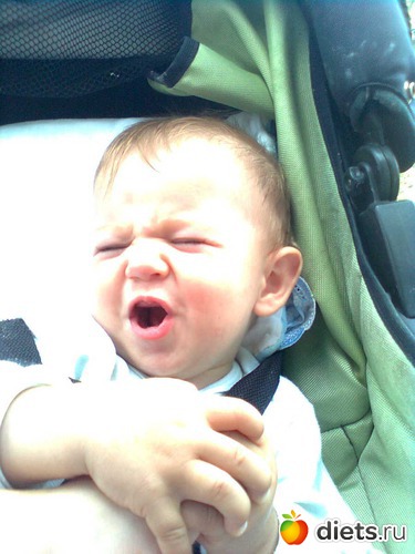 33 ����: ��� �����