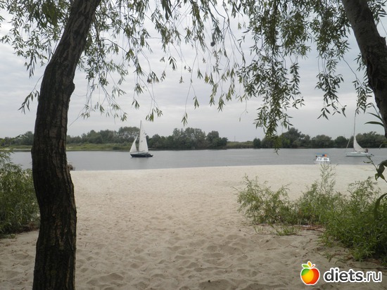 8 ����: ��������