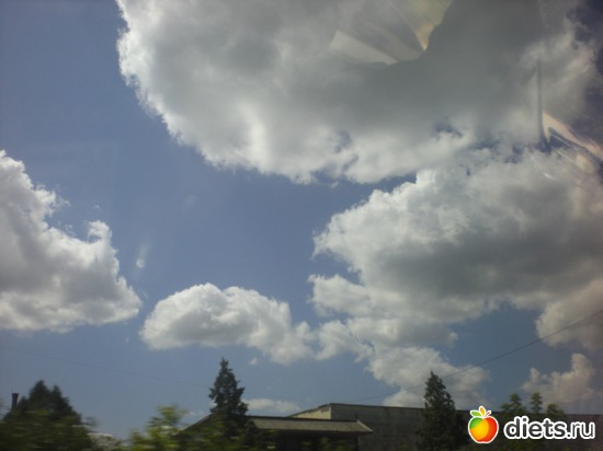 3 ����: ���� 2011