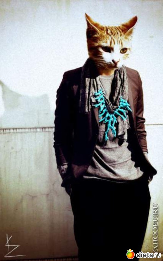 1 ����: ��������