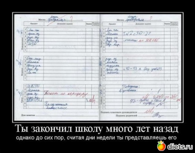 3 ����: ��������