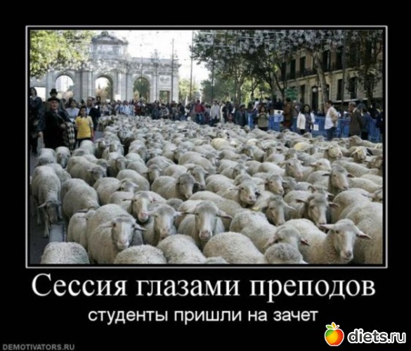 6 ����: ��������