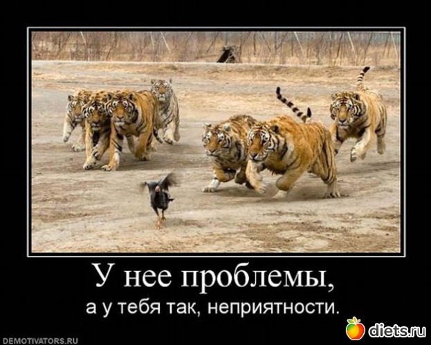 21 ����: ��������