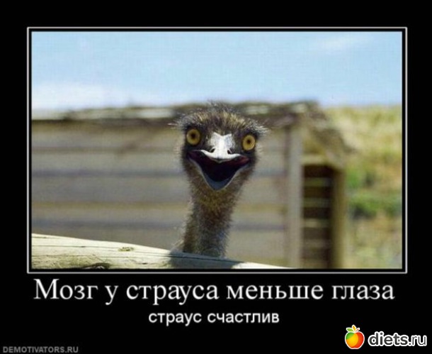 25 ����: ��������