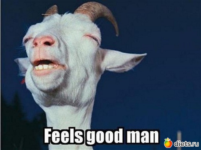 39 ����: ��������