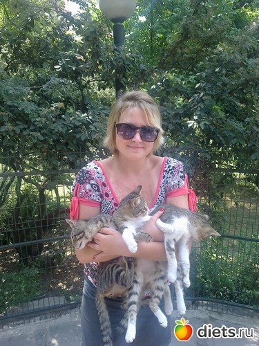 мы очень любим кошек!, альбом: кошки