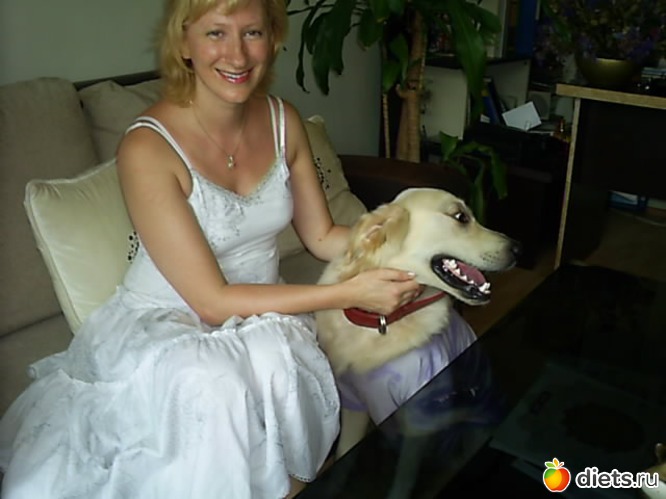 17 ����: ������ �