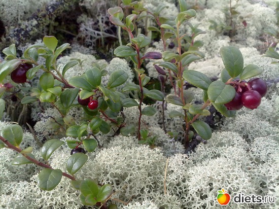 2 ����: � ������