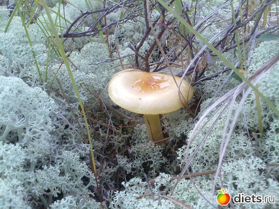 3 ����: � ������