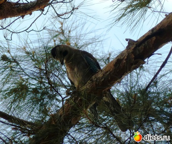 1 ����: ����������