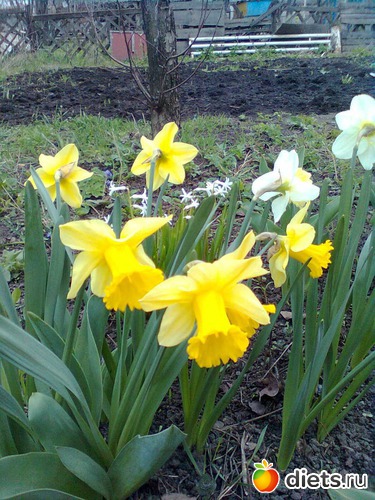 8 ����: ��� ����