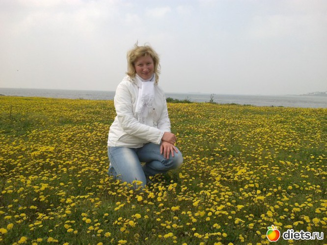 61 ����: ������ �