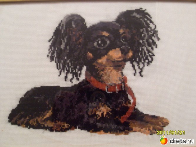 жужа, альбом: мои посиделочки