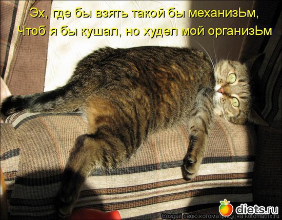 4 ����: ������������