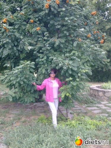 4 ����: ������