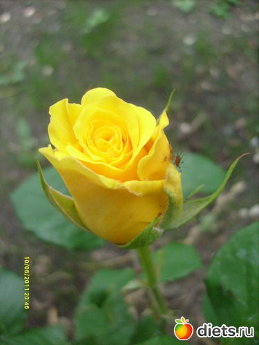 6 ����: �����