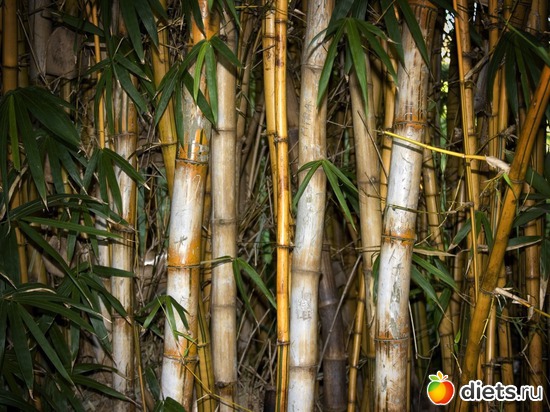 15 фото: просто картинки