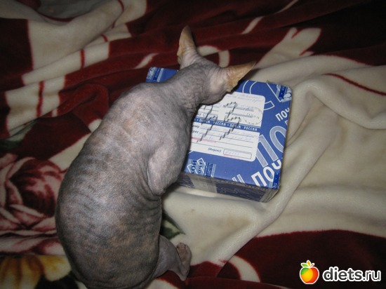 7 ����: �������