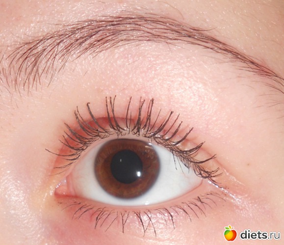 7 ����: ��� �������� ����� �������