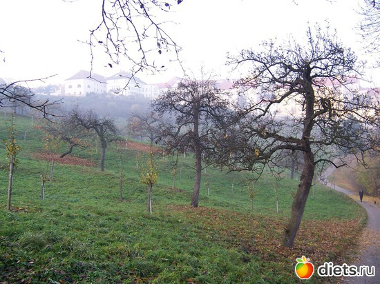 Сад у Страховского монастыря, альбом: Ноябрь в Праге