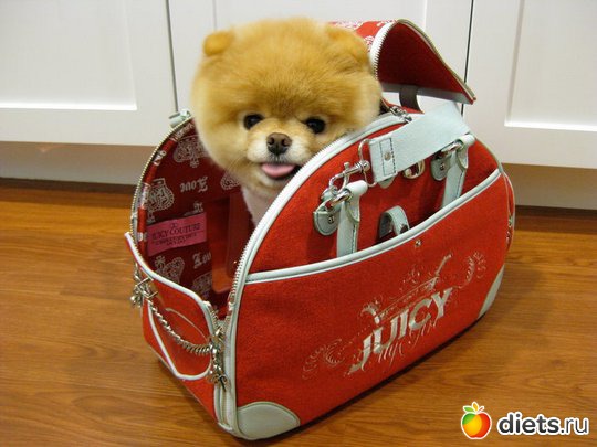 ���� ��������