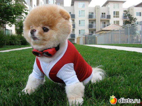 ���� ��������