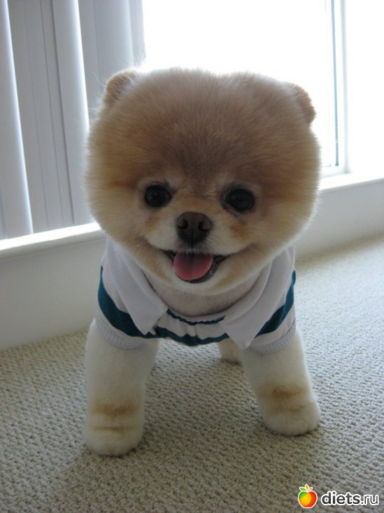 5 ����: ���� ��������