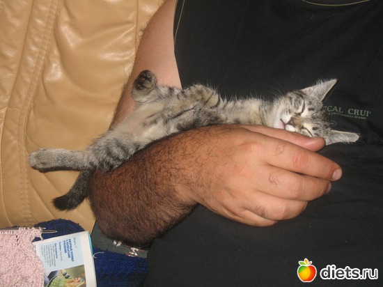 Где устала, там и сплю), альбом: Даша и Маша