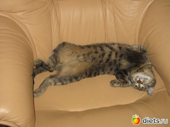 Кресло маловато, альбом: Даша и Маша