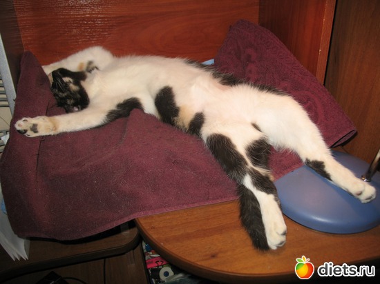 Длинноногая, альбом: Даша и Маша