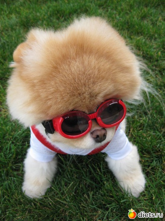 7 ����: ���� ��������