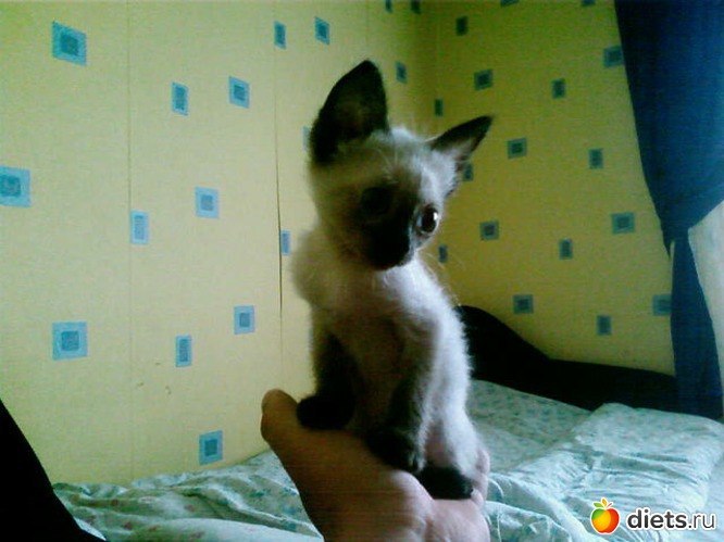 11 фото: Вот я... и моя семья..