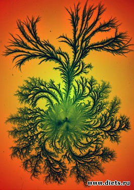 просто картинки