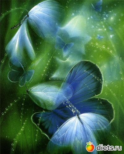 4 : 100       (Friedrich Hechelmann)