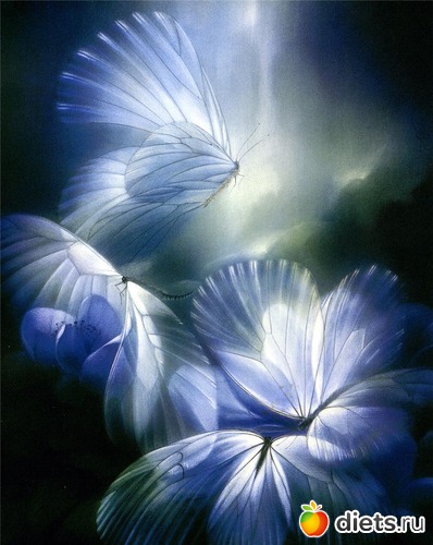 11 фото: 100 бабочек в подарок от Фредерика Хешельмана (Friedrich Hechelmann)