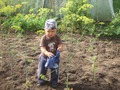 Сам и ухаживаю