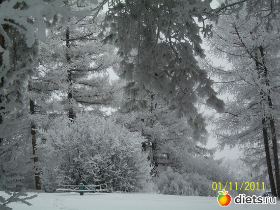 6 ����: ������ � ��������!