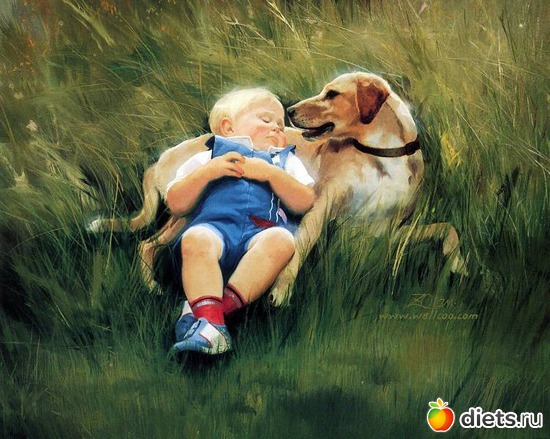 28 фото: Дональд Золан (Donald Zolan)