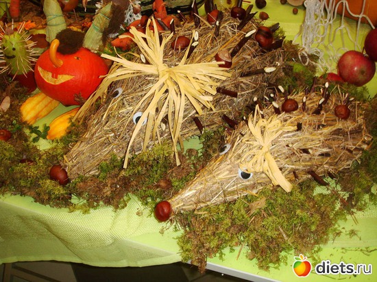 13 ����: ���� �����