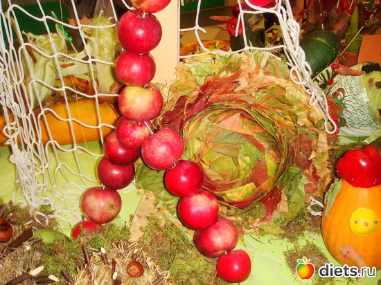 14 ����: ���� �����